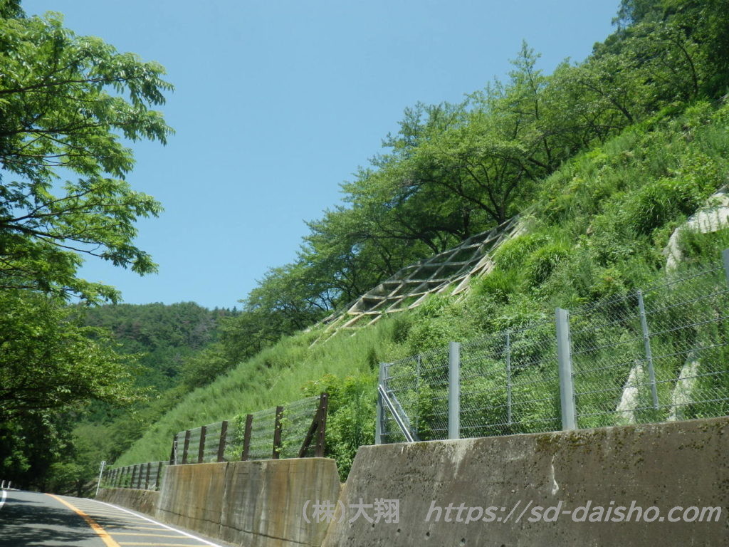 Vegetation of Crib Work